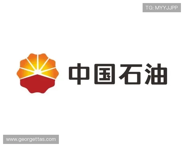 fb体育官网首页的安全登录指南，保障玩家账号安全与个人信息隐私的实用技巧